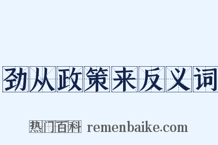 劲从政策来反义词是什么意思的图片